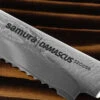 Samura Damascus Bread Knife -Victorinox Sales TC SD 0055 22185.1685974236
