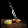 Samura Modern Chef's Knife Reptile 2 Samura Modern Chef's Knife Reptile -Victorinox Sales TC SRP 0087det2 47617.1623233914