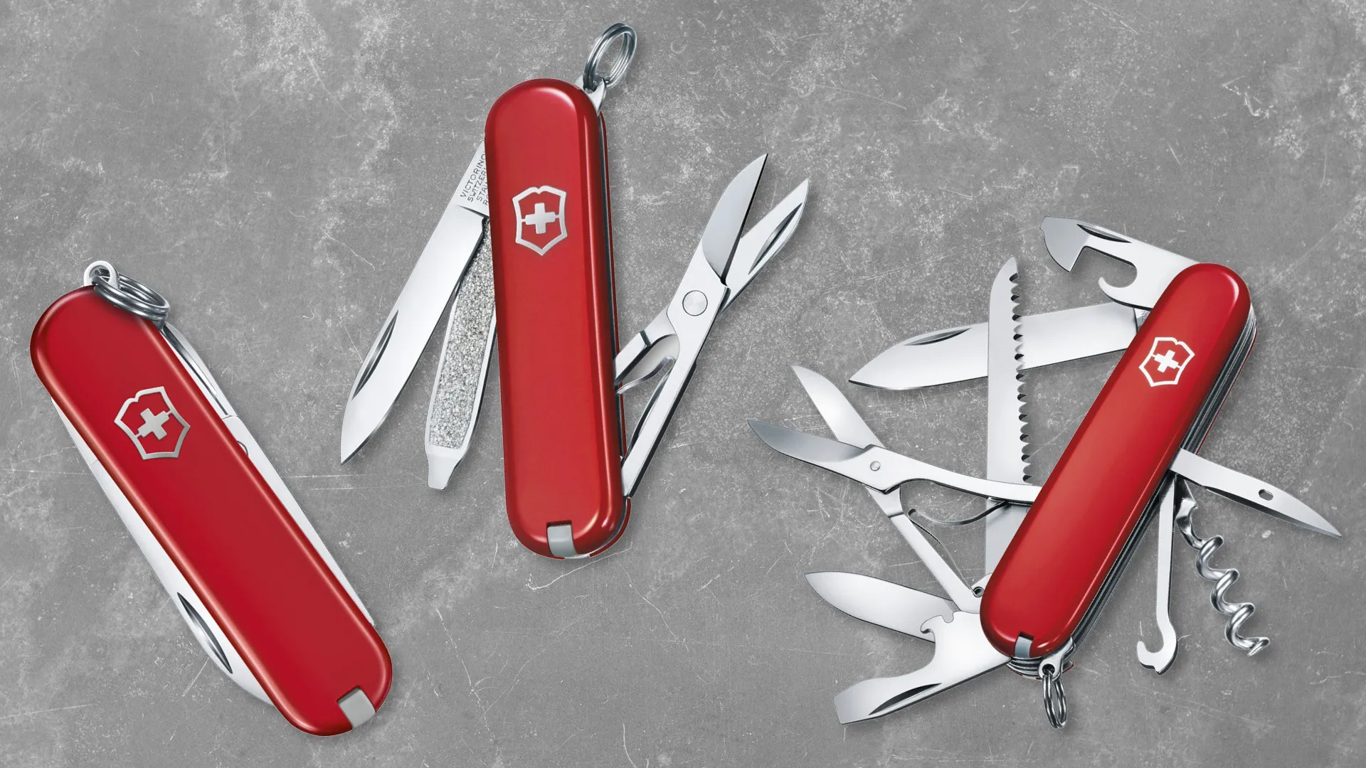 Victorinox Sales -Victorinox Sales